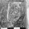Photograph of face