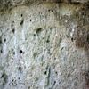 Photograph of face 1(from ??)