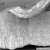 Photograph of face 1(from ??)